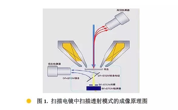 江北扫描电镜